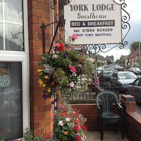 York Lodge Guesthouse 3* York