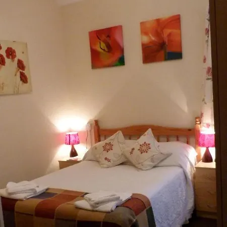 York Lodge Guesthouse Konukevi York